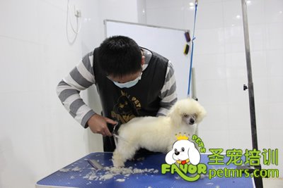 圣寵學(xué)員考試進(jìn)行中