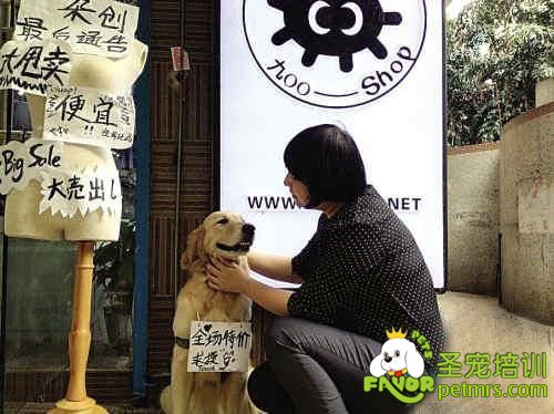 金毛狗可樂在店前恭候顧客