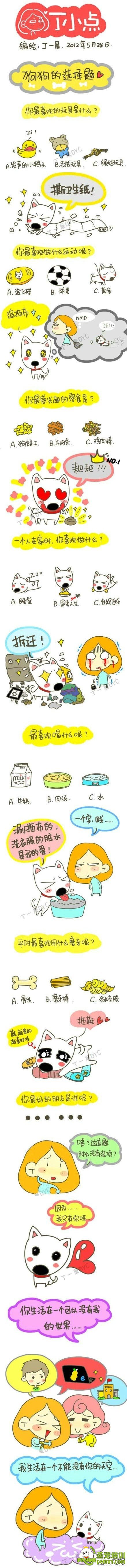 狗狗選擇題