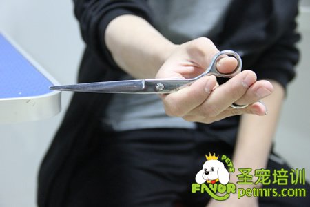 剪刀正確的拿法：反向修剪