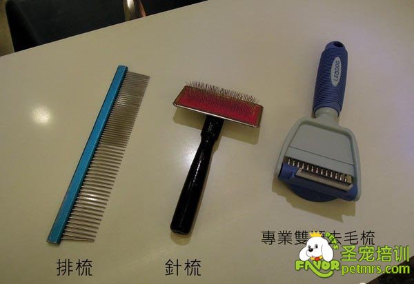 寵物美容工具