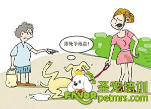 狗狗隨地大小便