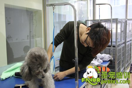 圣寵學員實操課