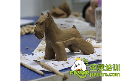 圣寵寵物陶藝課程