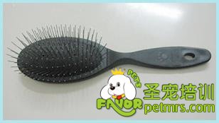 狗狗夏季美容