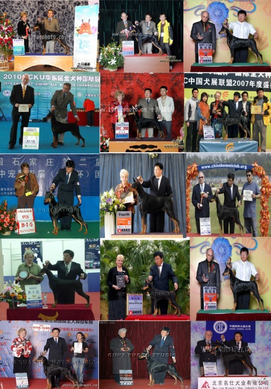 王樹謙老師參賽照片