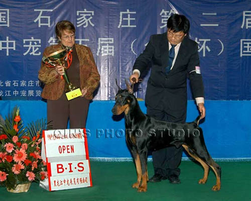 王樹謙老師參賽照片