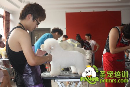 學(xué)員在精心的修剪自己的作品