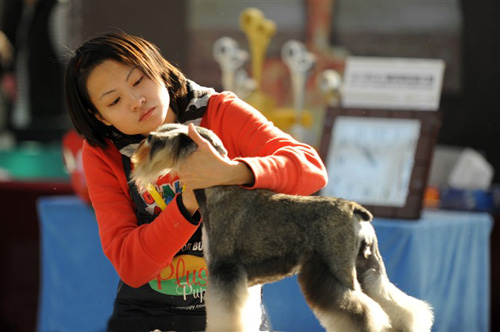 美女寵物美容師