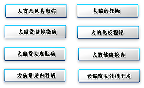 課程目錄