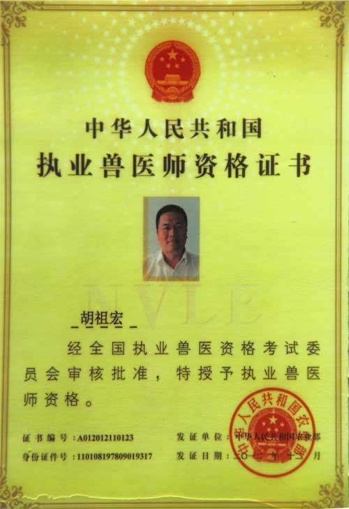 醫(yī)師資格證書