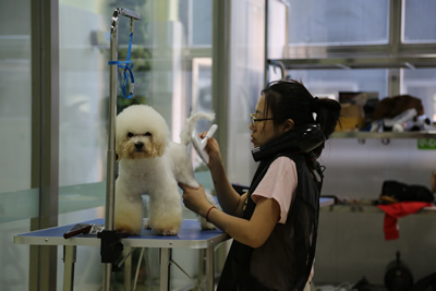 圣寵學員實操課堂