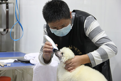 圣寵學子