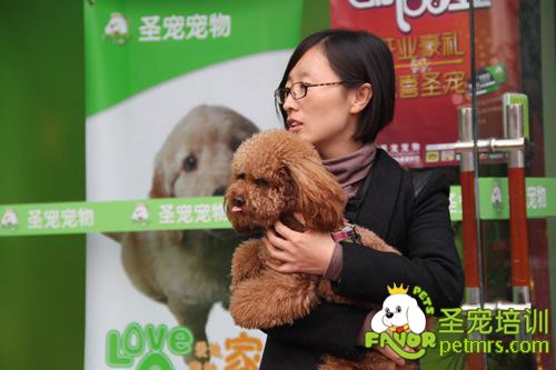 圣寵寵物美容學校