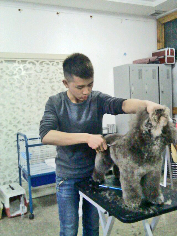 圣寵學子李寧