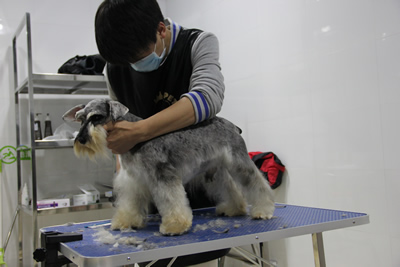 圣寵學子苦練基本功