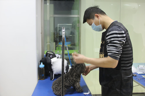 圣寵學子實操練習中