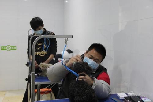 圣寵店鋪技術班學員實操課