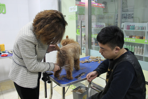 圣寵手把手教學指導