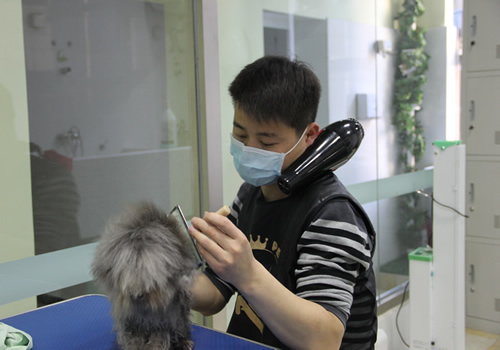 圣寵學子實操課堂