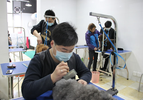 王金龍同學正在學習中