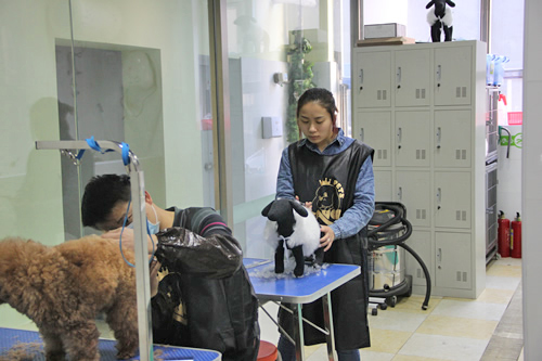 圣寵女學員風采