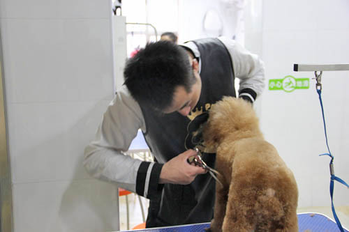 學員正在練習腰線和腹線的連接