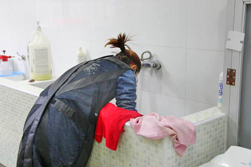 學員在給狗狗洗澡