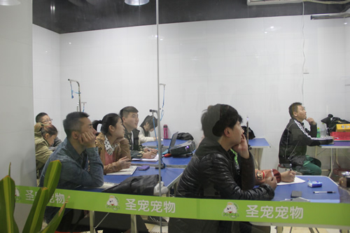 圣寵寵物醫療課程