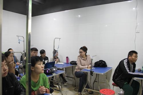 圣寵寵物醫療課程