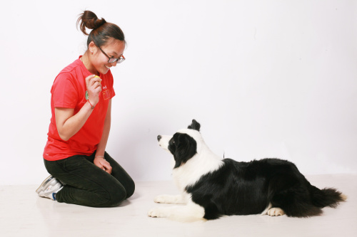 國(guó)際知名訓(xùn)犬師-劉小芹