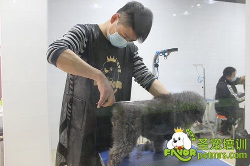 圣寵學員實操課