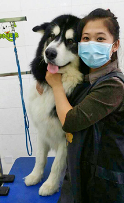 圣寵寵物美容師