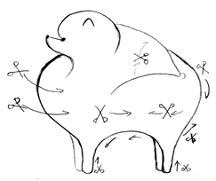 博美犬整體修剪
