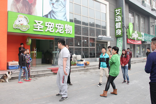 圣寵學員晨會游戲