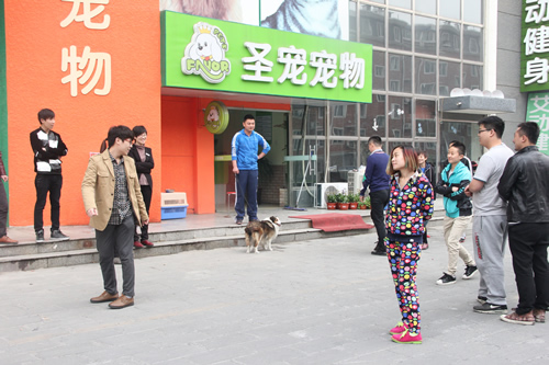 圣寵學員晨會游戲