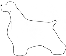 可卡犬修剪