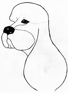 可卡犬修剪