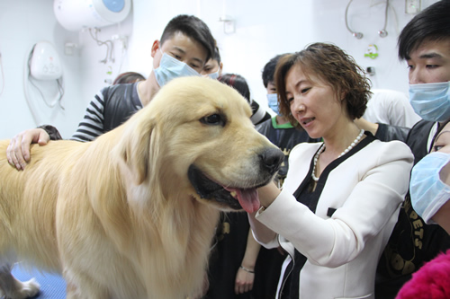 深度研修班