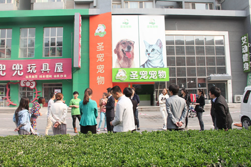 圣寵學(xué)員晨會游戲