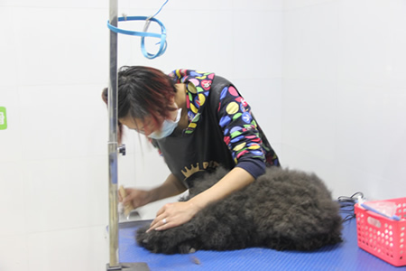 美容容進(jìn)行中