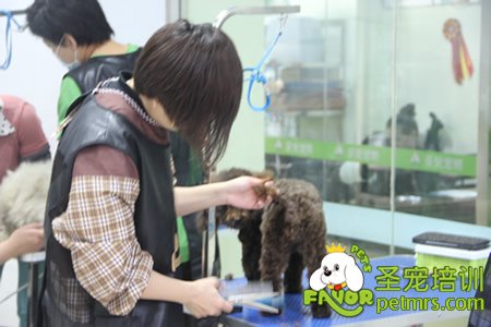 圣寵學(xué)員實操課程