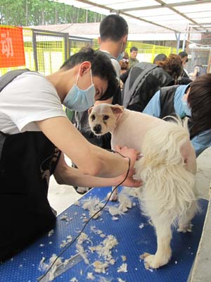 王立群