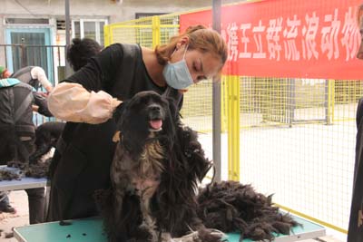 圣寵寵物美容學(xué)校