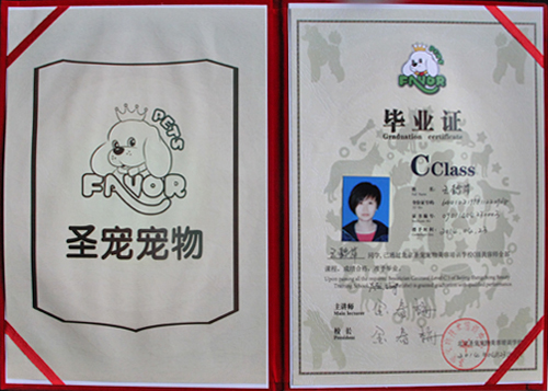 寵物美容師證書