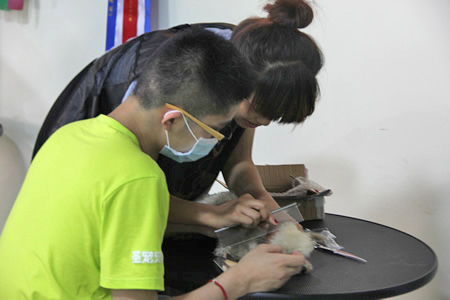 圣寵學(xué)員梳毛練習(xí)