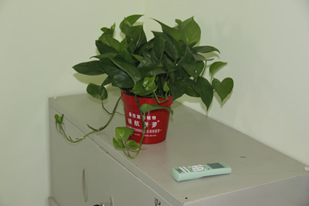 圣寵學員宿舍綠植