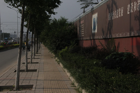 學校周邊小路