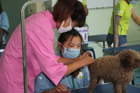 老師指導學員