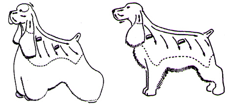 可卡犬修剪
